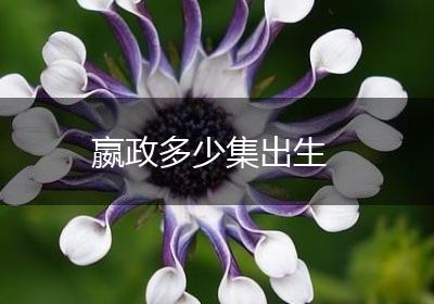 嬴政多少集出生
