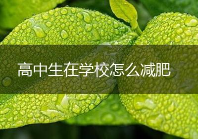 高中生在学校怎么减肥