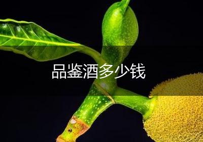 品鉴酒多少钱