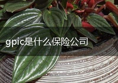 gpic是什么保险公司