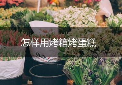 怎样用烤箱烤蛋糕