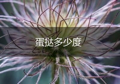 蛋挞多少度