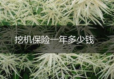 挖机保险一年多少钱