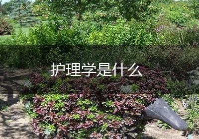 护理学是什么
