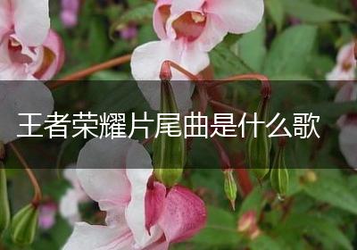 王者荣耀片尾曲是什么歌