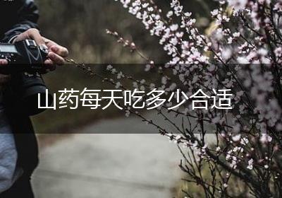 山药每天吃多少合适