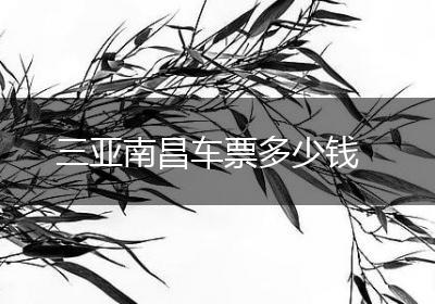 三亚南昌车票多少钱
