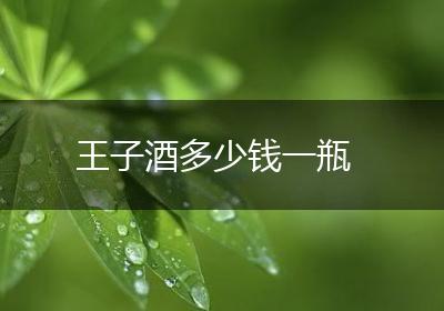 王子酒多少钱一瓶