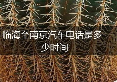 临海至南京汽车电话是多少时间