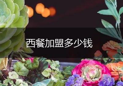 西餐加盟多少钱