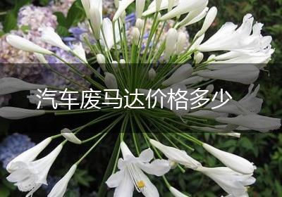 汽车废马达价格多少
