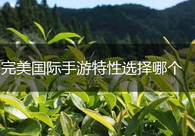 完美国际手游特性选择哪个