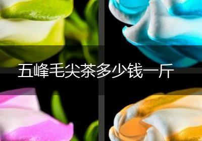 五峰毛尖茶多少钱一斤