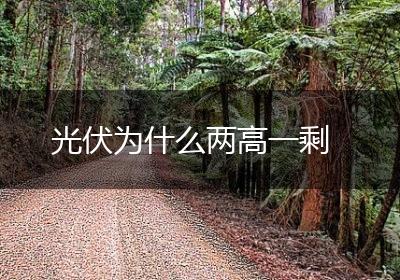 光伏为什么两高一剩