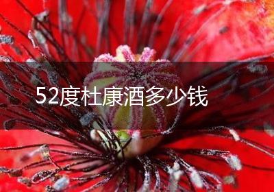 52度杜康酒多少钱