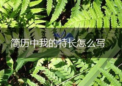 简历中我的特长怎么写