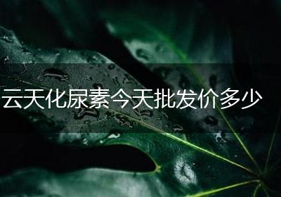 云天化尿素今天批发价多少