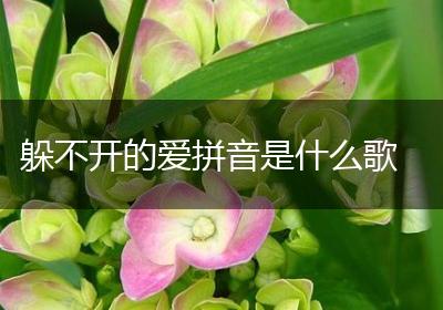 躲不开的爱拼音是什么歌