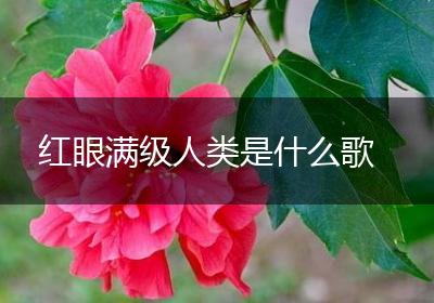 红眼满级人类是什么歌