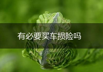 有必要买车损险吗