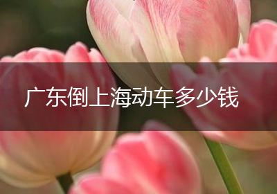 广东倒上海动车多少钱