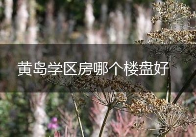 黄岛学区房哪个楼盘好