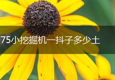 75小挖掘机一抖子多少土