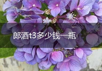 郎酒t3多少钱一瓶