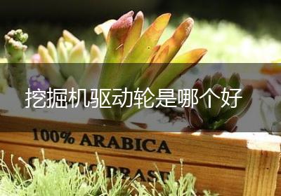 挖掘机驱动轮是哪个好