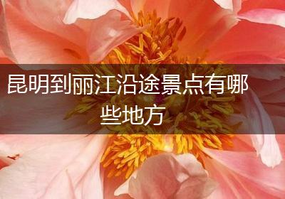 昆明到丽江沿途景点有哪些地方