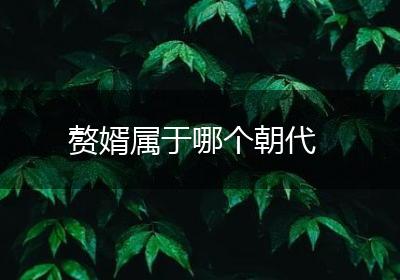 赘婿属于哪个朝代