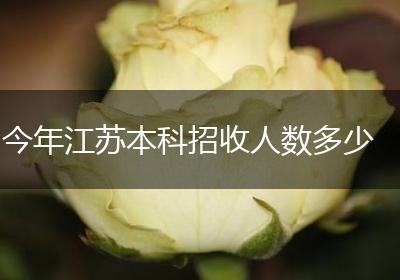 今年江苏本科招收人数多少