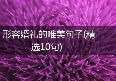形容婚礼的唯美句子(精选10句)