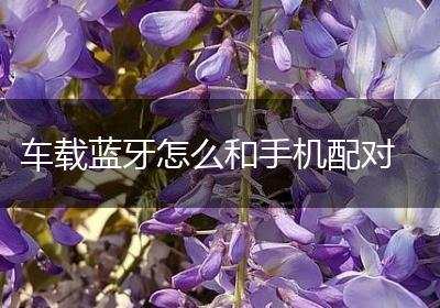 车载蓝牙怎么和手机配对