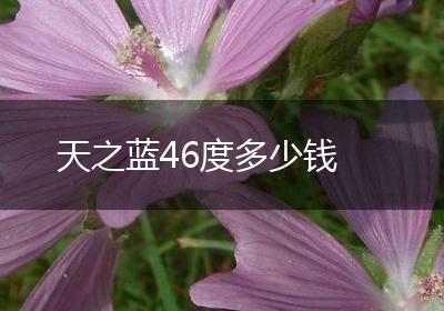 天之蓝46度多少钱