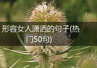 形容女人潇洒的句子(热门50句)