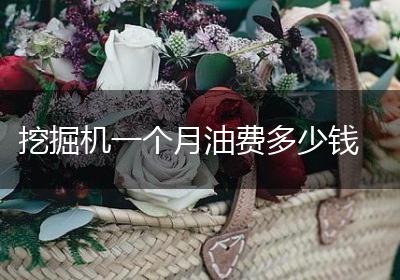挖掘机一个月油费多少钱