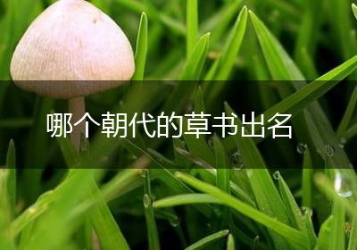 哪个朝代的草书出名