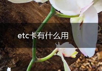 etc卡有什么用