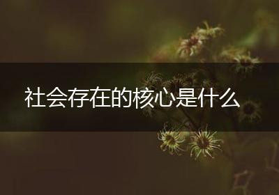 社会存在的核心是什么