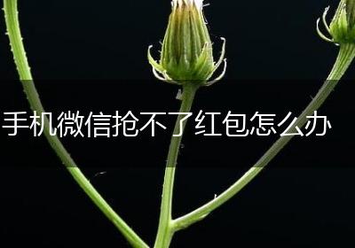 手机微信抢不了红包怎么办