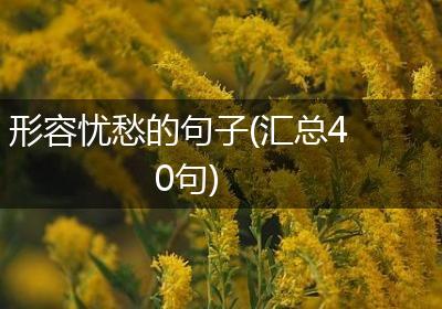 形容忧愁的句子(汇总40句)