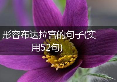 形容布达拉宫的句子(实用52句)