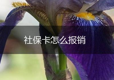 社保卡怎么报销