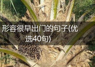 形容很早出门的句子(优选40句)