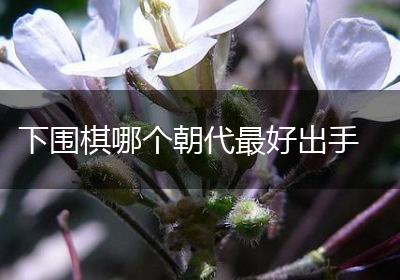 下围棋哪个朝代最好出手