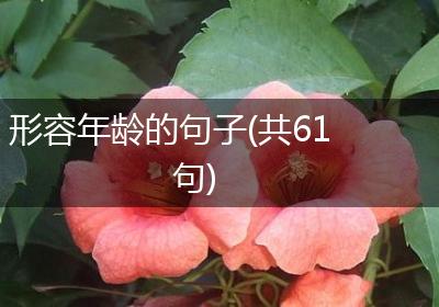 形容年龄的句子(共61句)