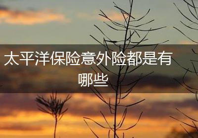 太平洋保险意外险都是有哪些