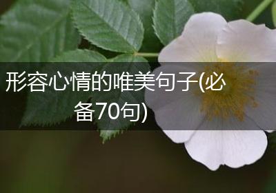 形容心情的唯美句子(必备70句)