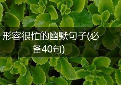形容很忙的幽默句子(必备40句)